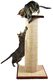 a scratching post